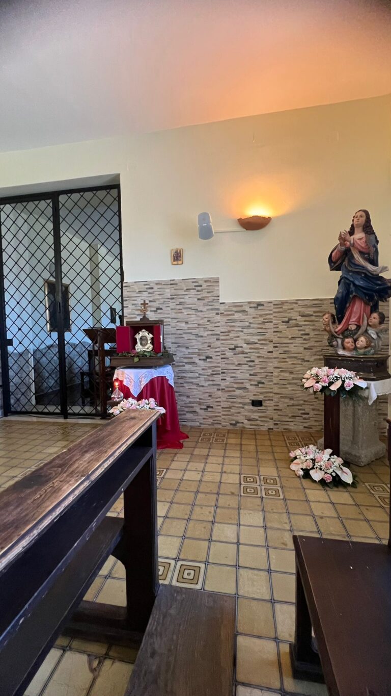 Una riflessione delle Suore Clarisse di clausura di Rende (Cs) sull'Ottavo Centenario dal Transito di San Francesco d'AssisiVivere e morire cantando! L’esempio di Francesco, uomo del canto nuovo