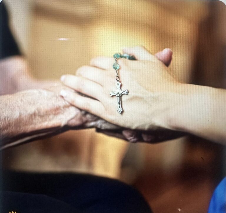 Una scelta che si arricchisce di senso nella dimensione della vita comunitariaLa vita consacrata